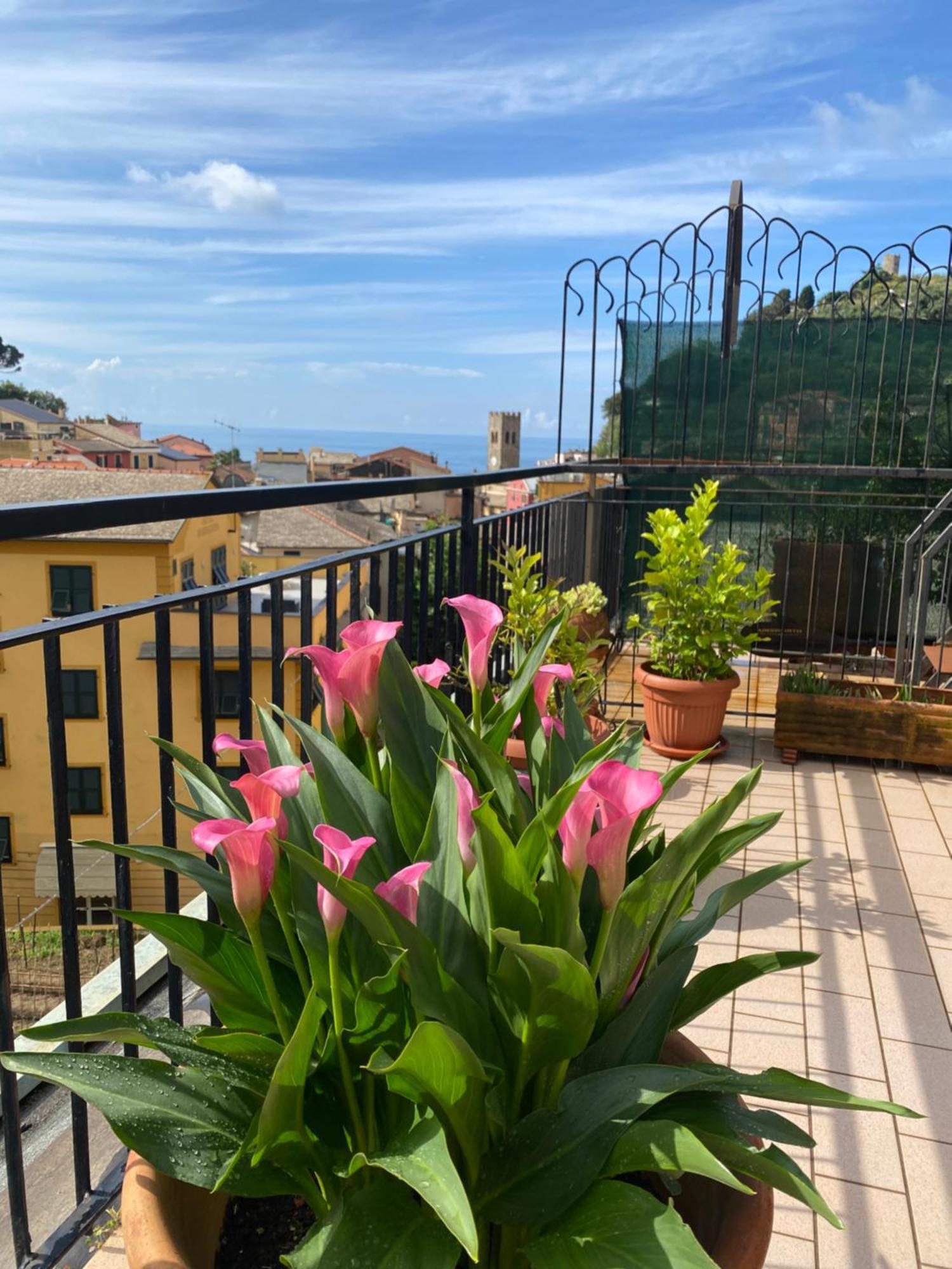 La Terrazza Di Monterosso Appartement Monterosso al Mare Buitenkant foto