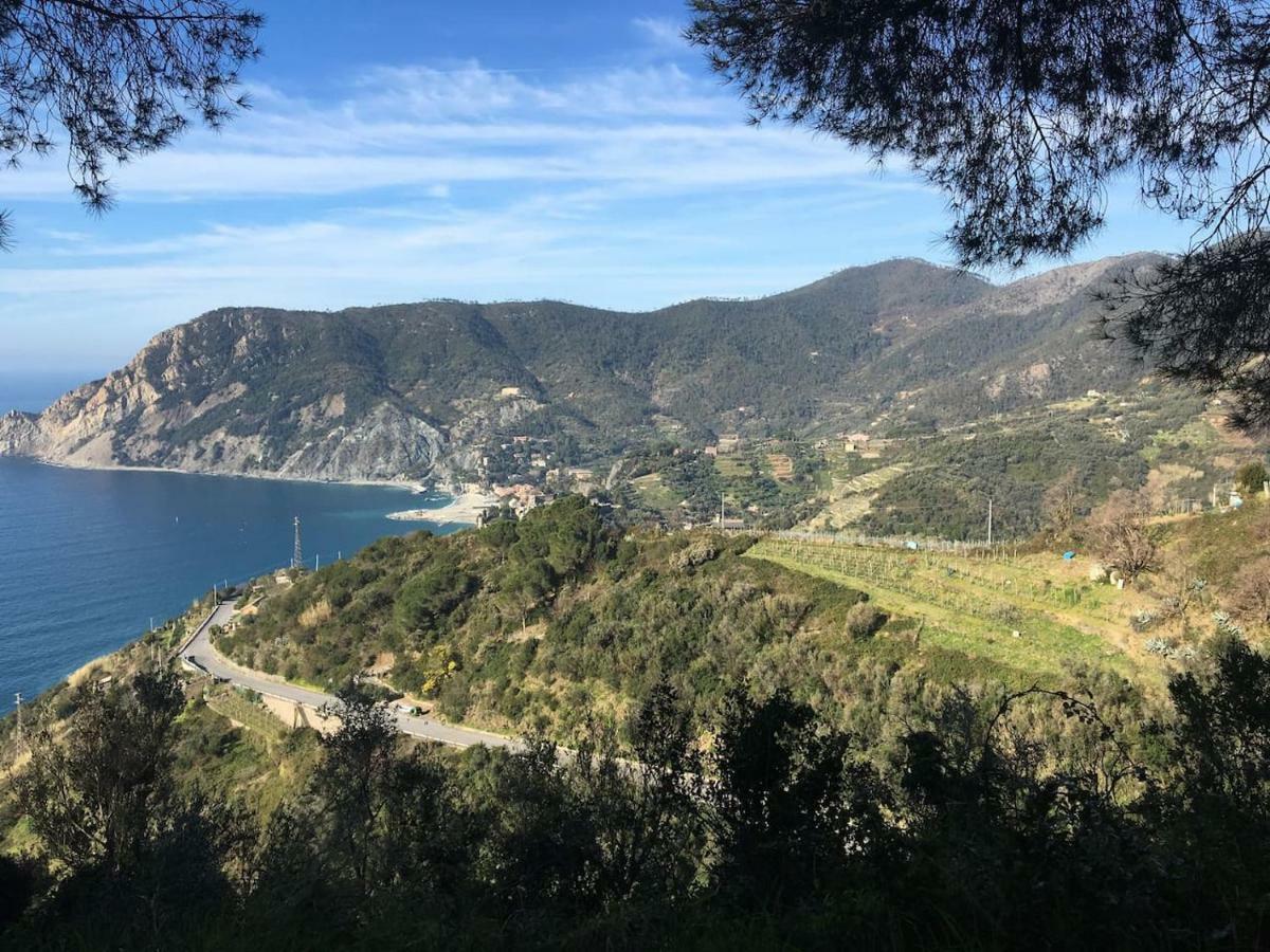 La Terrazza Di Monterosso Appartement Monterosso al Mare Buitenkant foto